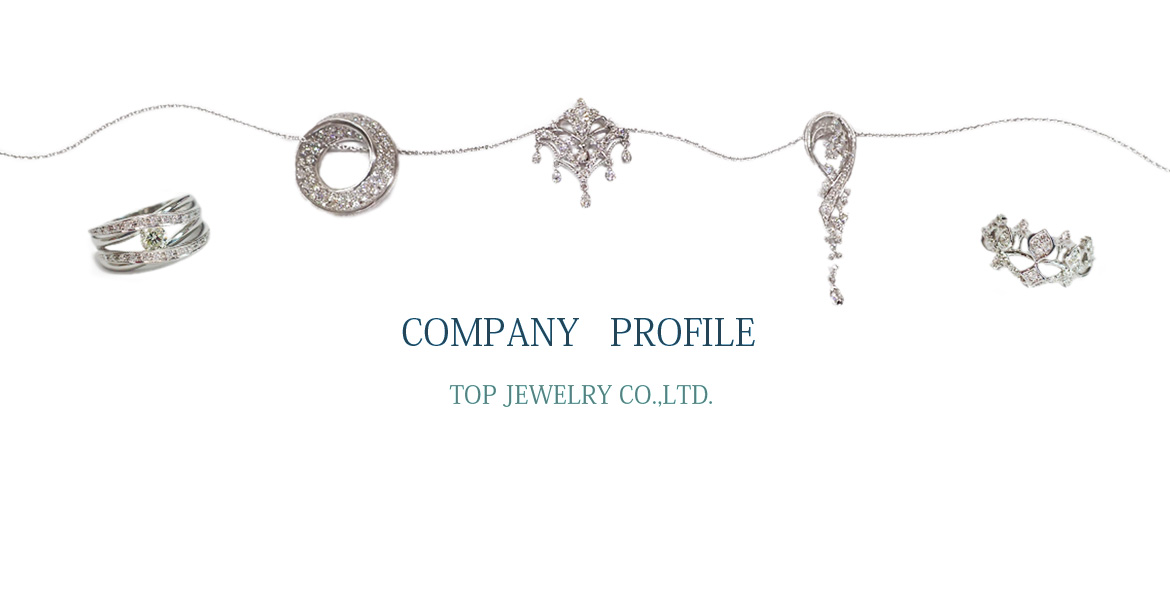 Company profile